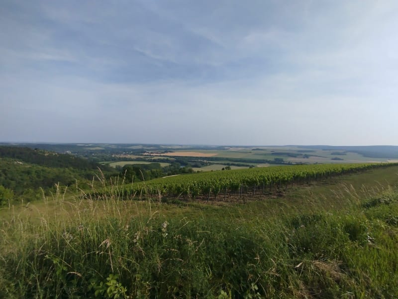 Tour d'Escolives par Mouffy - Escolives-Sainte-Camille