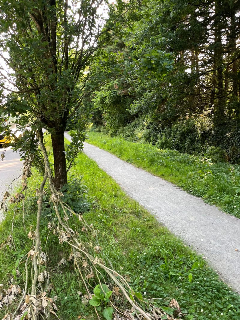 Balade autour de Sucé sur Erdre - Sucé-sur-Erdre