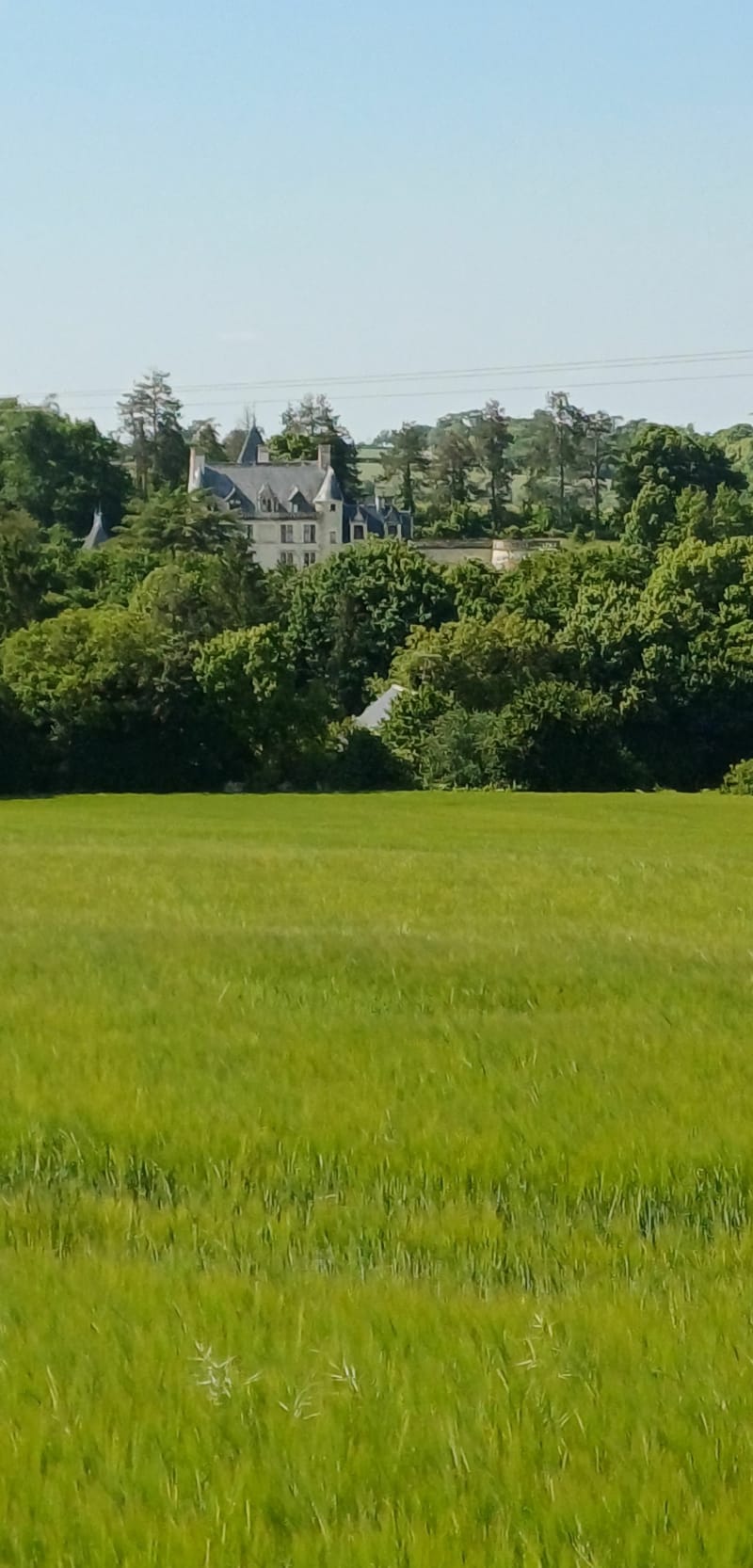 St-Germain-sur-Vienne et sa balade à vélo - Saint-Germain-sur-Vienne