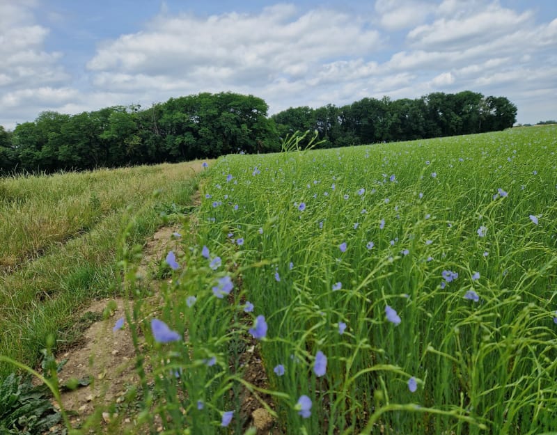 Chemins autour de Nogent et Montataire - Nogent-sur-Oise