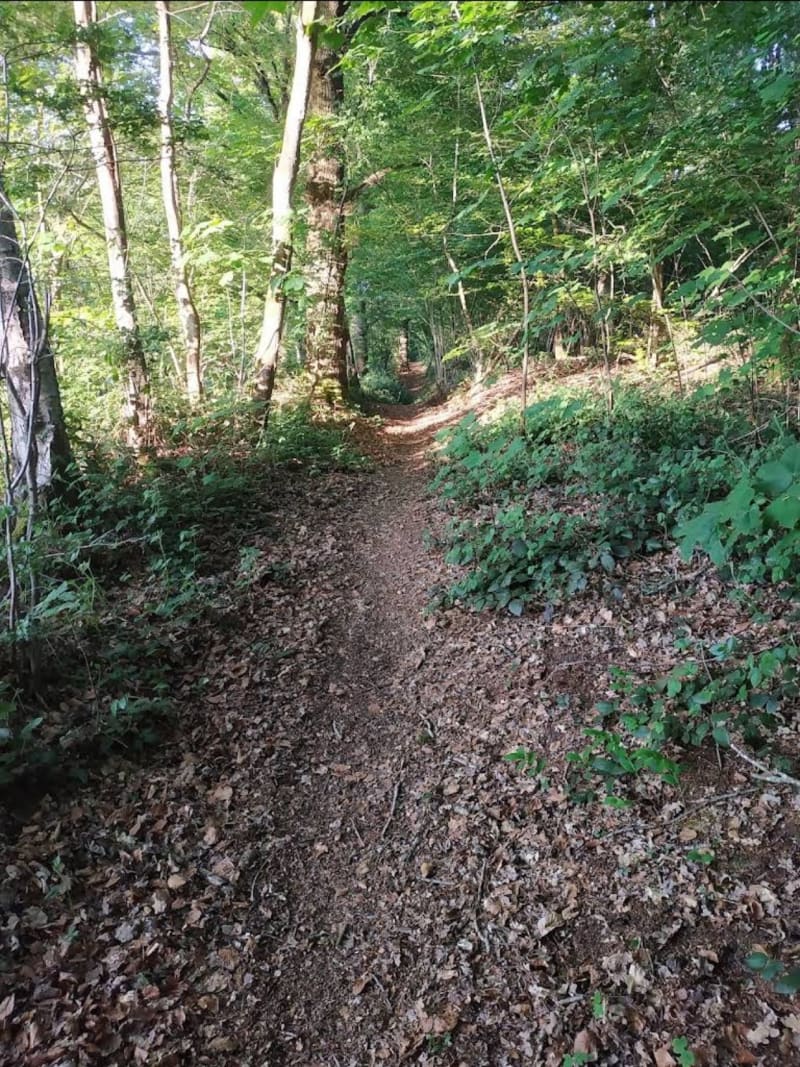 Balade autour de Rombly et Linghem et son bois - Rombly