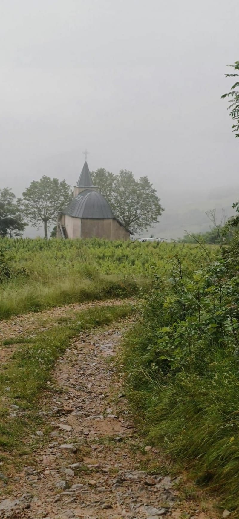 Randonnée en passant par le col de la Croix de Marchampt - Marchampt