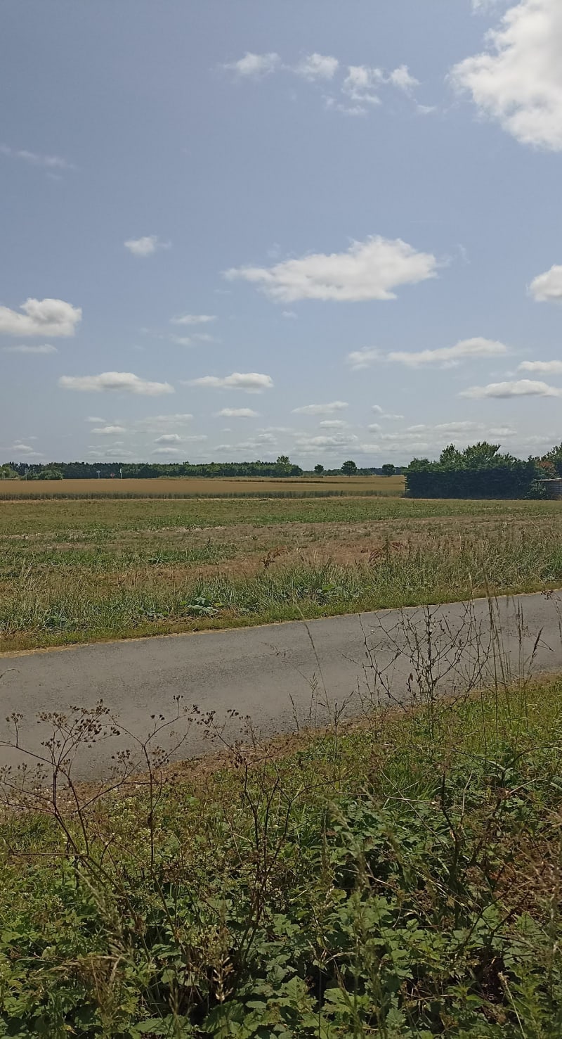 Le Gué, Saint-Sauveur, Ferrières, bois de Benon - Le Gué-d'Alleré