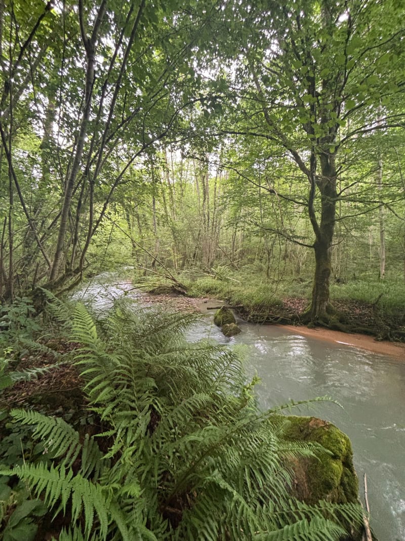 Bégole, lac et chemin forestier - Bégole