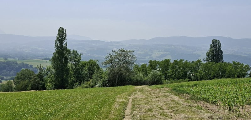 Autour de Sâles - Rumilly