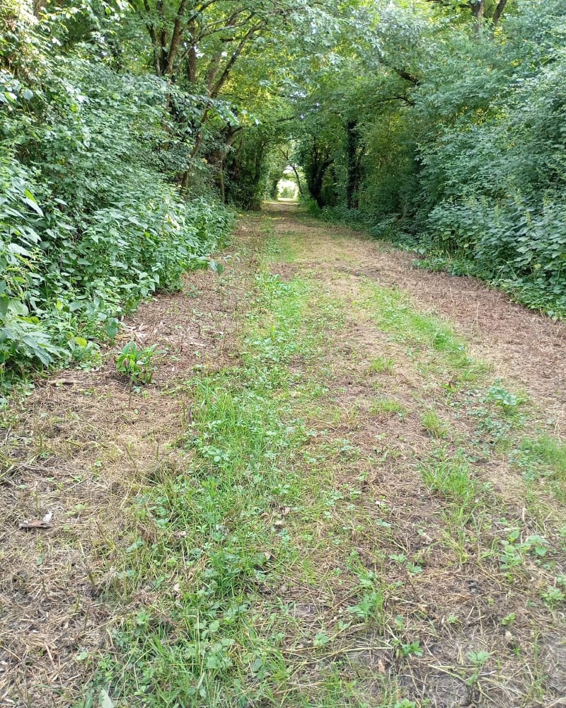 Mozé et les chemins royaux - Mozé-sur-Louet