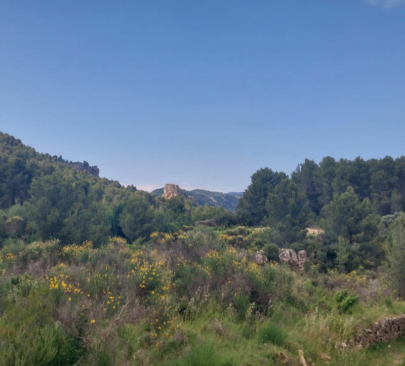 Balade depuis Bize-Minervois - Bize-Minervois