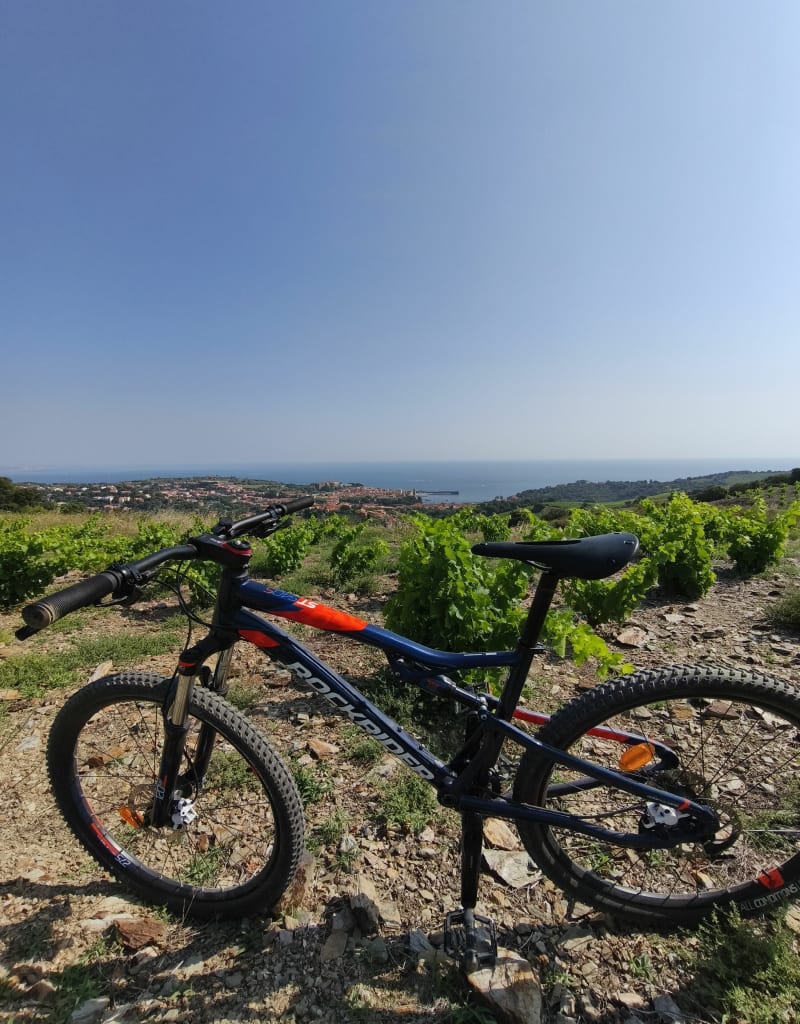 Au tour de Collioure - Collioure