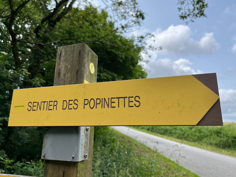 Questembert - sentier des popinettes - Questembert