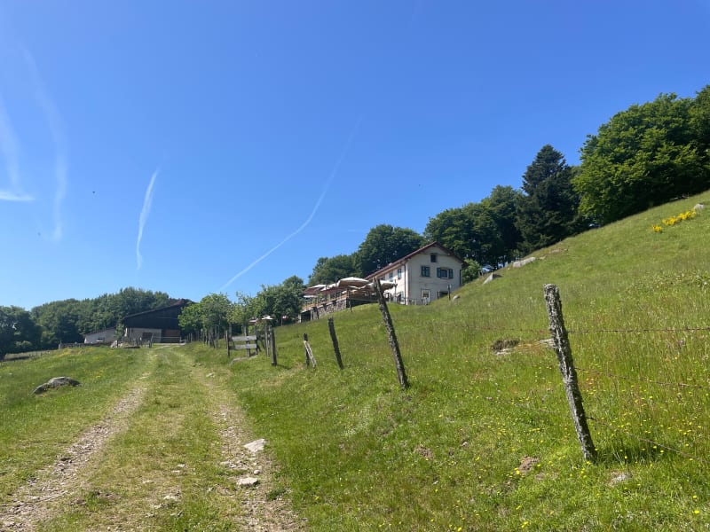 Ascension au Gresson et sa ferme-auberge depuis Rimbach - Rimbach-près-Masevaux