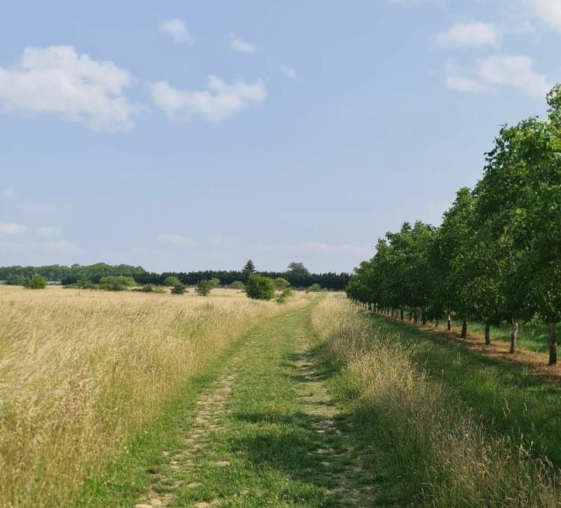 Balade sur le plateau de Saint-Maurice-l'Exil - Saint-Maurice-l'Exil