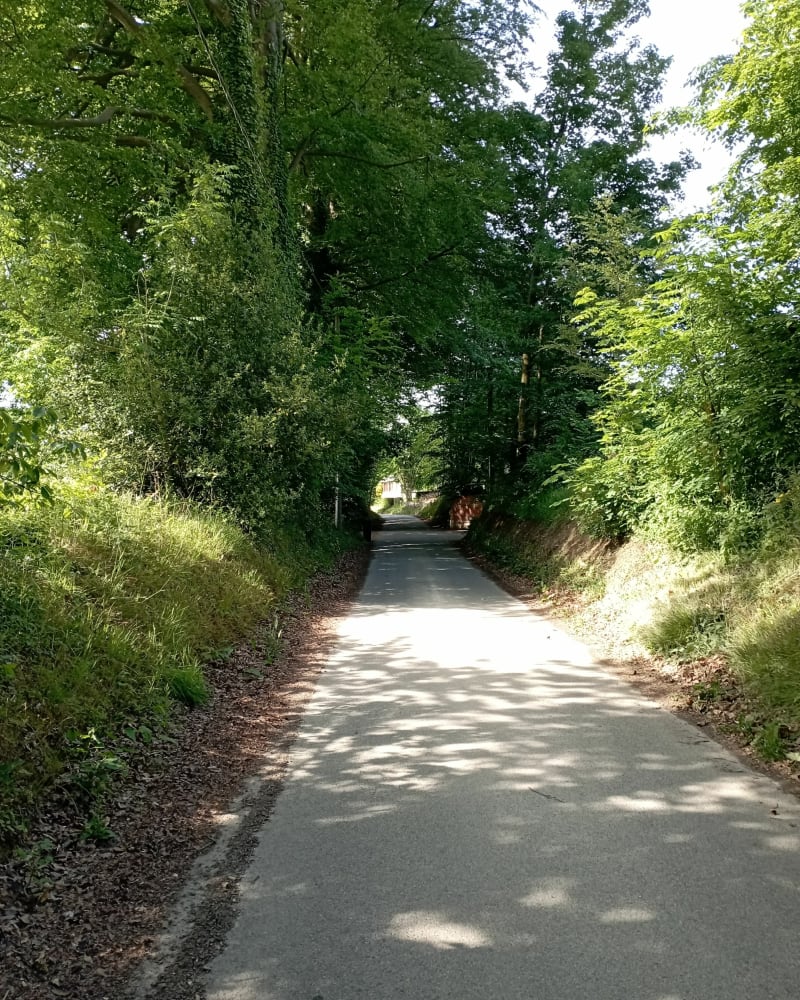 En passant par le Bosc à bosc - Bois-Himont