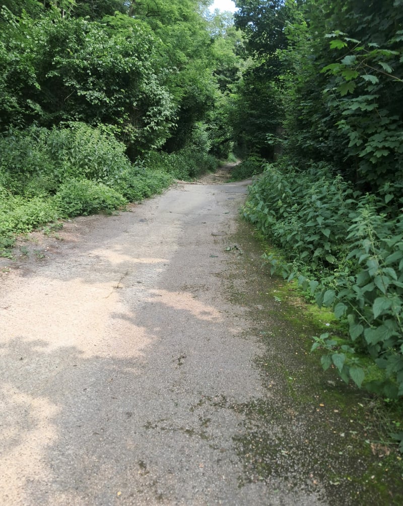 Boucle des Avoux en passant par la rivière du Cottey et le lac - Dagneux