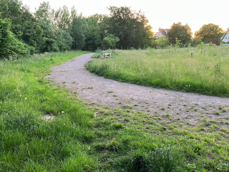 Petit tour dans les champs autour de l’Ehn - Geispolsheim