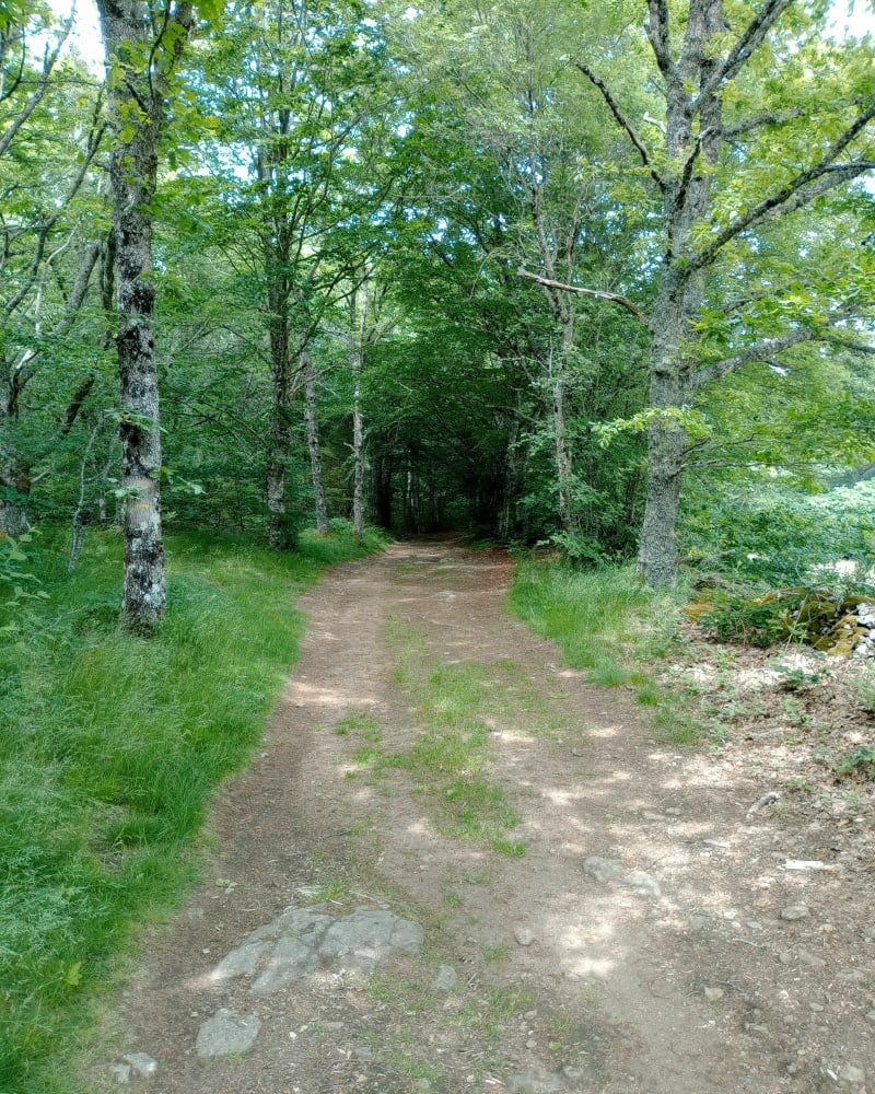 De Lacanal à Rouvières depuis le lac du Laouzas - Nages