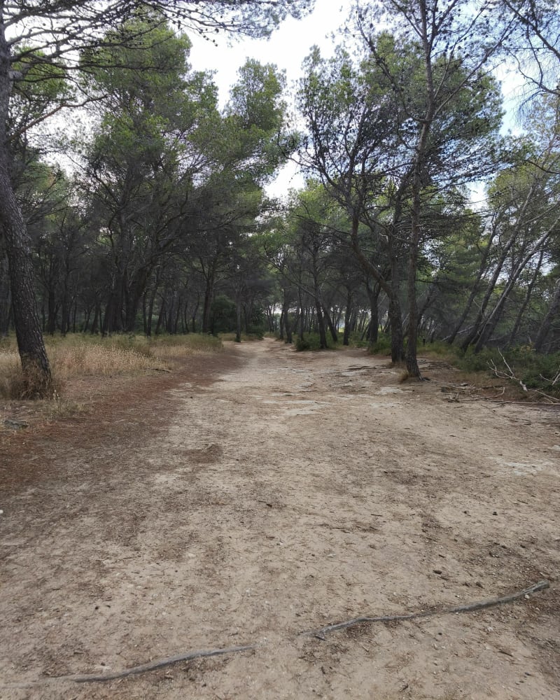 Balade au Deven - Istres