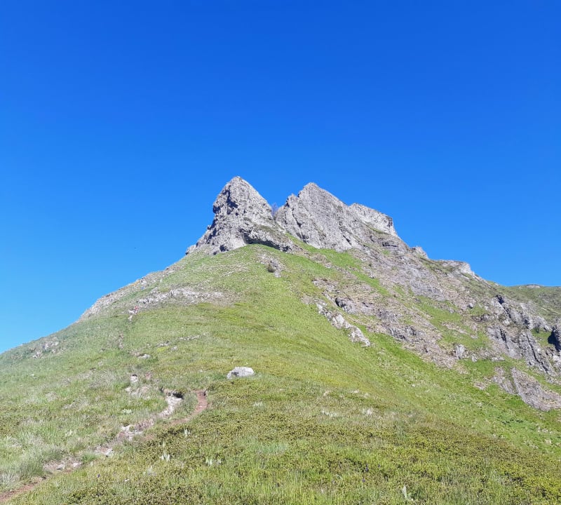 Le bec d aigle, téton de Vénus et puy Griou - Laveissière