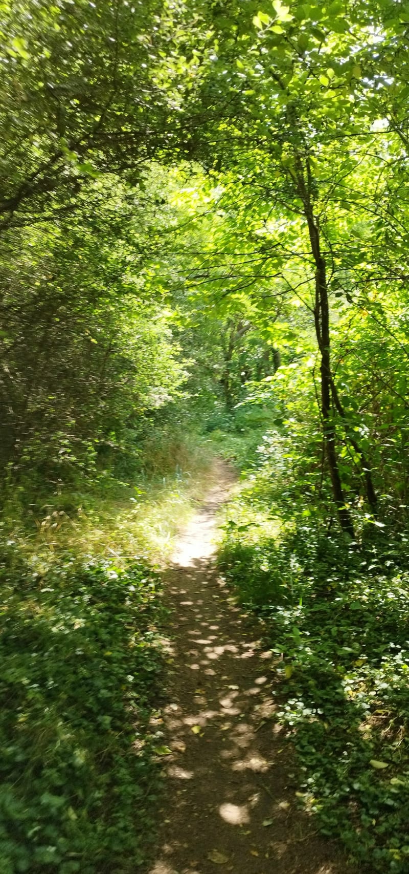 Balade nature et reposante le long de la Loire - Jargeau
