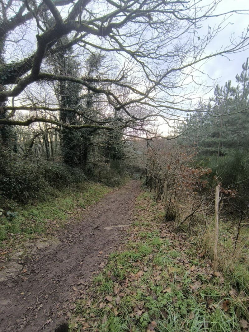 Du Poiré à Aizenay - Le Poiré-sur-Vie