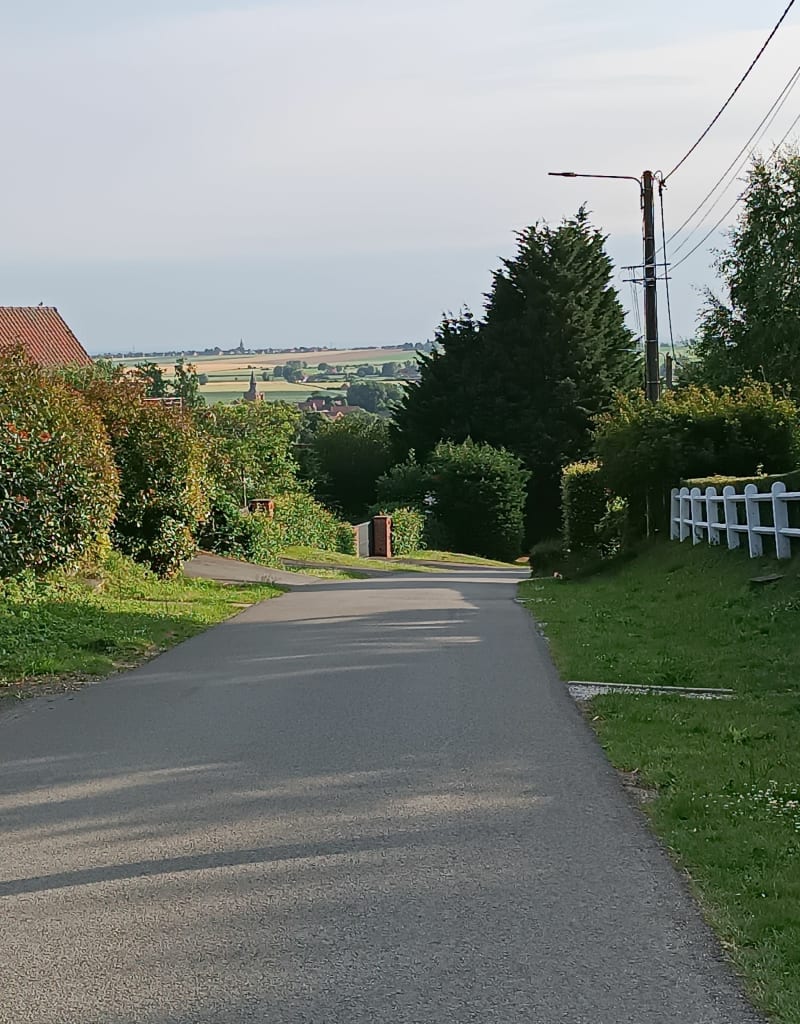 Le chemin des jacinthes - Saint-Jans-Cappel