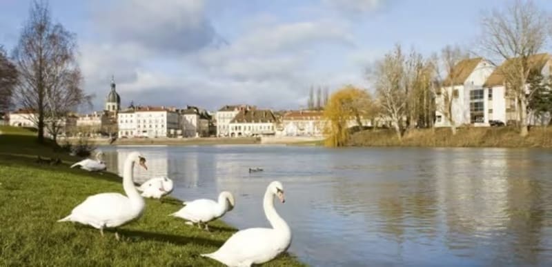 Promenade dominicale à Chalon sur Saône - Chalon-sur-Saône