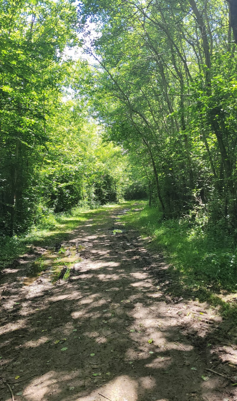 Balade bocage bressan à Chevroux - Chevroux