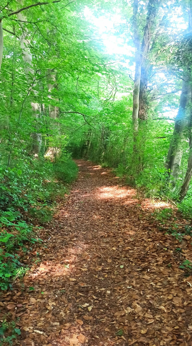 Marche à Mandeville - Mandeville