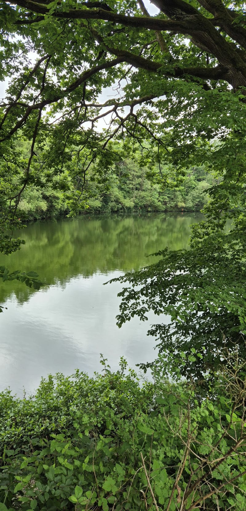 Houdain, lac de Beugin - Houdain
