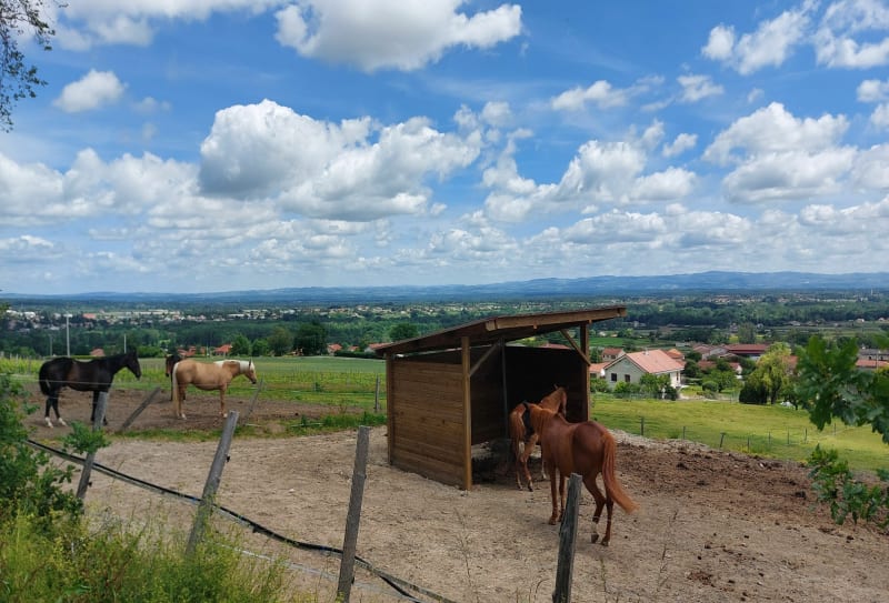 Rando autour de Trelins (42) - Trelins