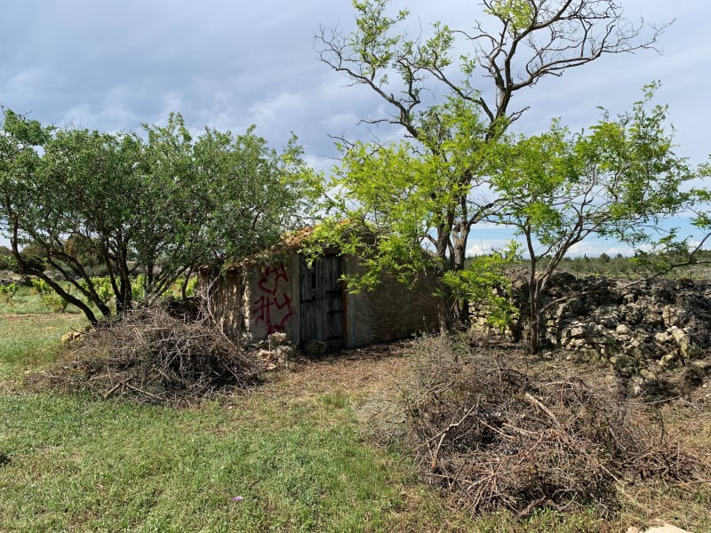 La cabane à Camille - Leucate