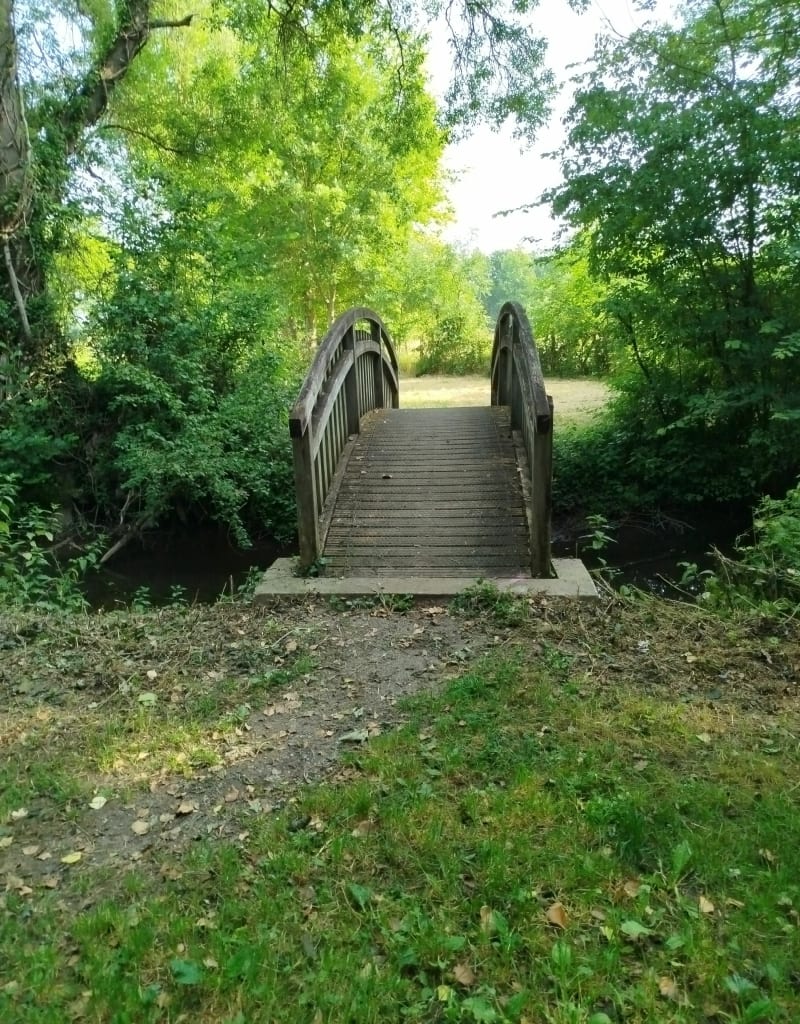 Promenade à Longué - Longué-Jumelles