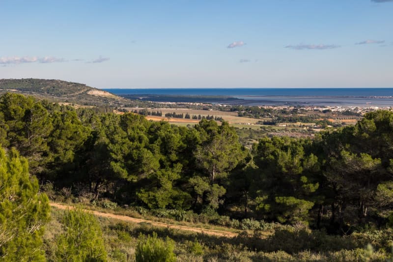 Randonnée massif de la Gardiole : vue sur le massif et les anciens marais salants de Frontignan l