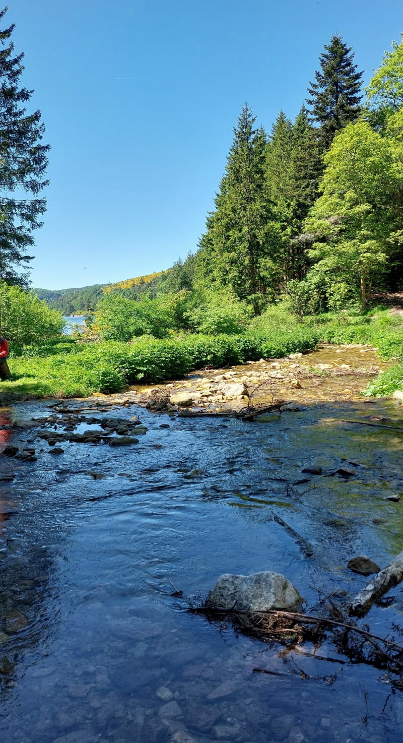 Planfoy descente vers le barrage - Planfoy