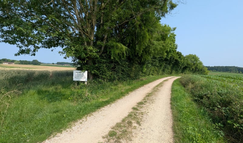 Quelques boucles entre Montrevel et Etrez - Montrevel-en-Bresse