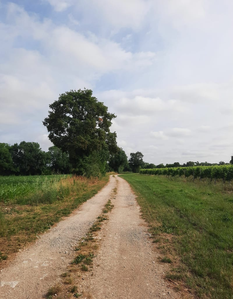 Parcours en nature dans Courbillac - Courbillac