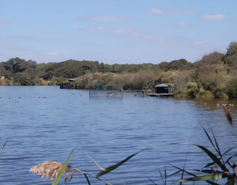 Étang de Moïsan et Lac marin de Vieux-Boucau Lac en France - Messanges