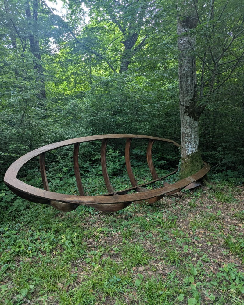 Forêt de Pierrefitte - Nicey-sur-Aire