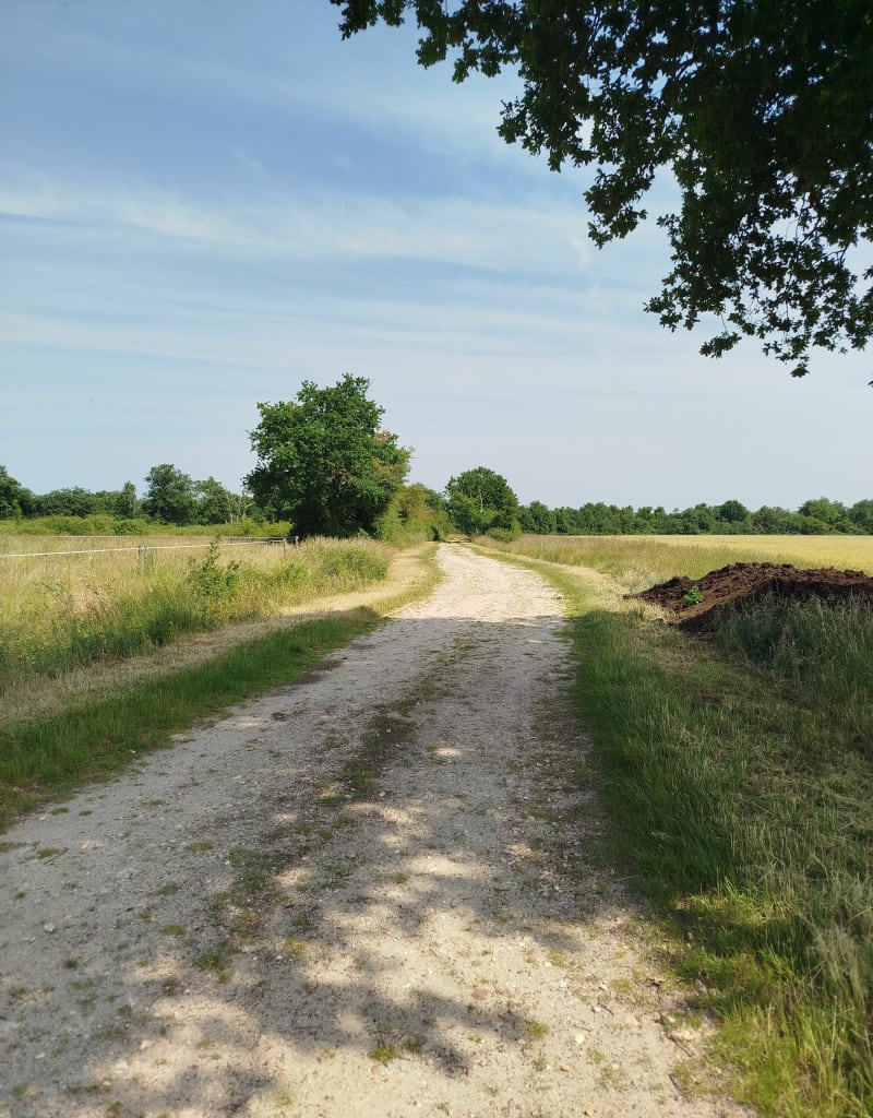Balade par les Etourbes - Coullons