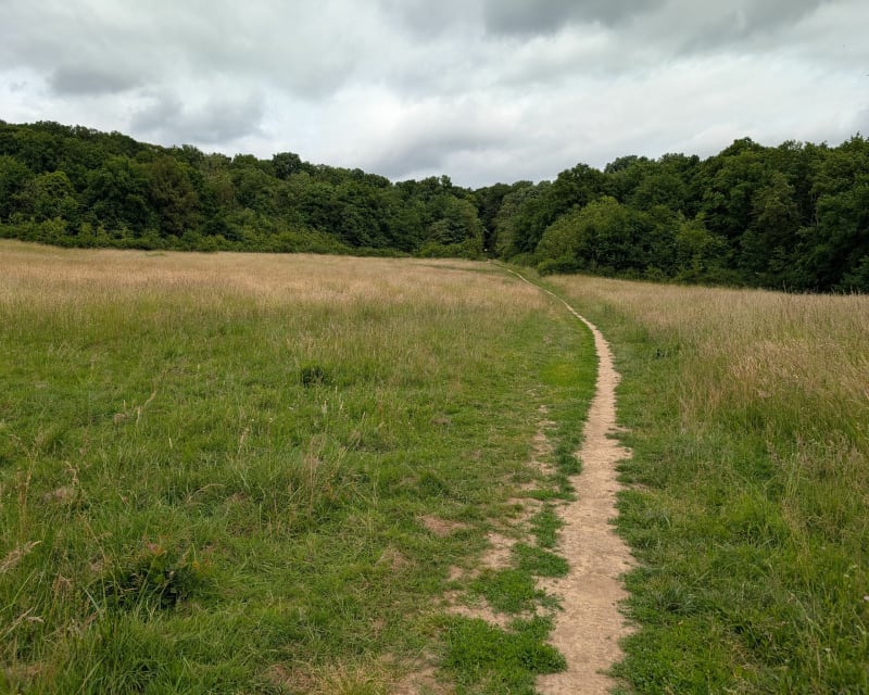 Tour du rocher de Saulx-les-Chartreux - La Ville-du-Bois