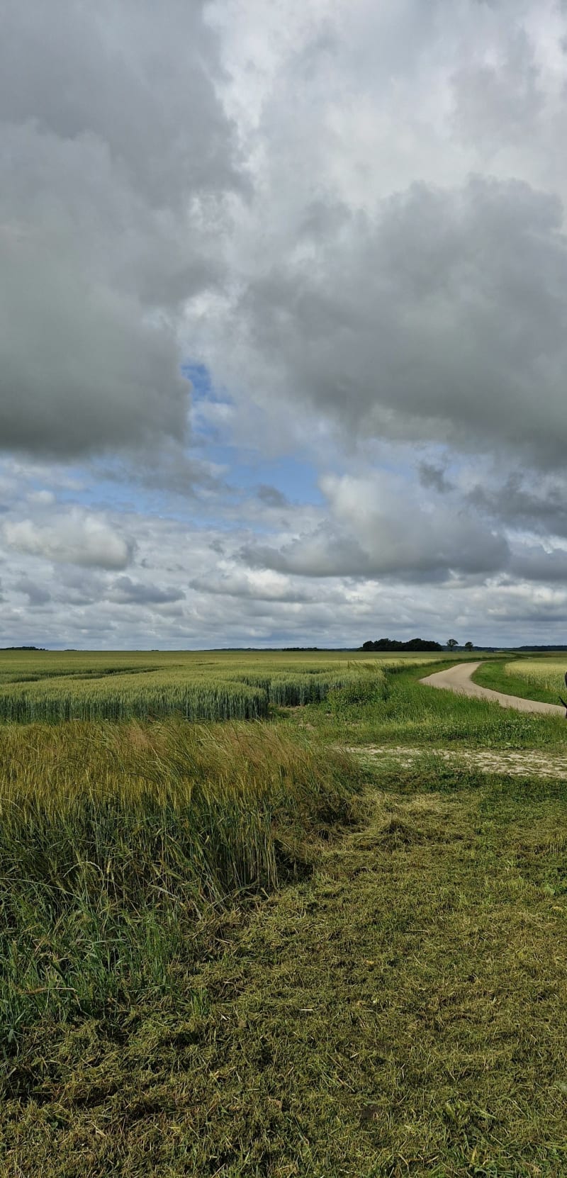Autour de La Celle-Saint-Cyr - La Celle-Saint-Cyr
