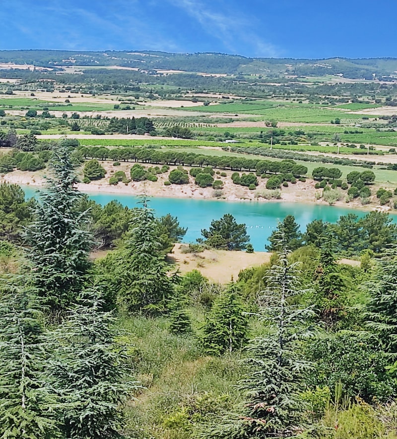 Garrigue de Veyrac - Villeveyrac
