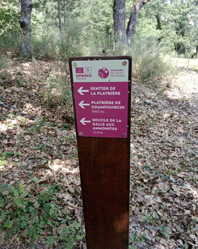 Dalle des Ammonites depuis le Géoparc - Digne-les-Bains