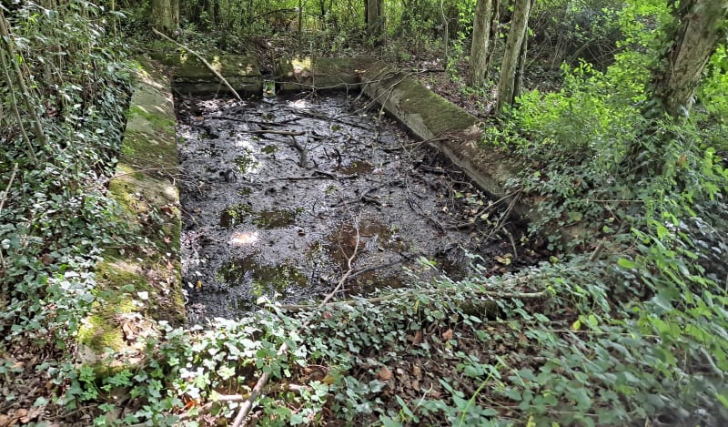 A Champagné-Saint-Hilaire et jusqu'aux bords du Clain - Champagné-Saint-Hilaire