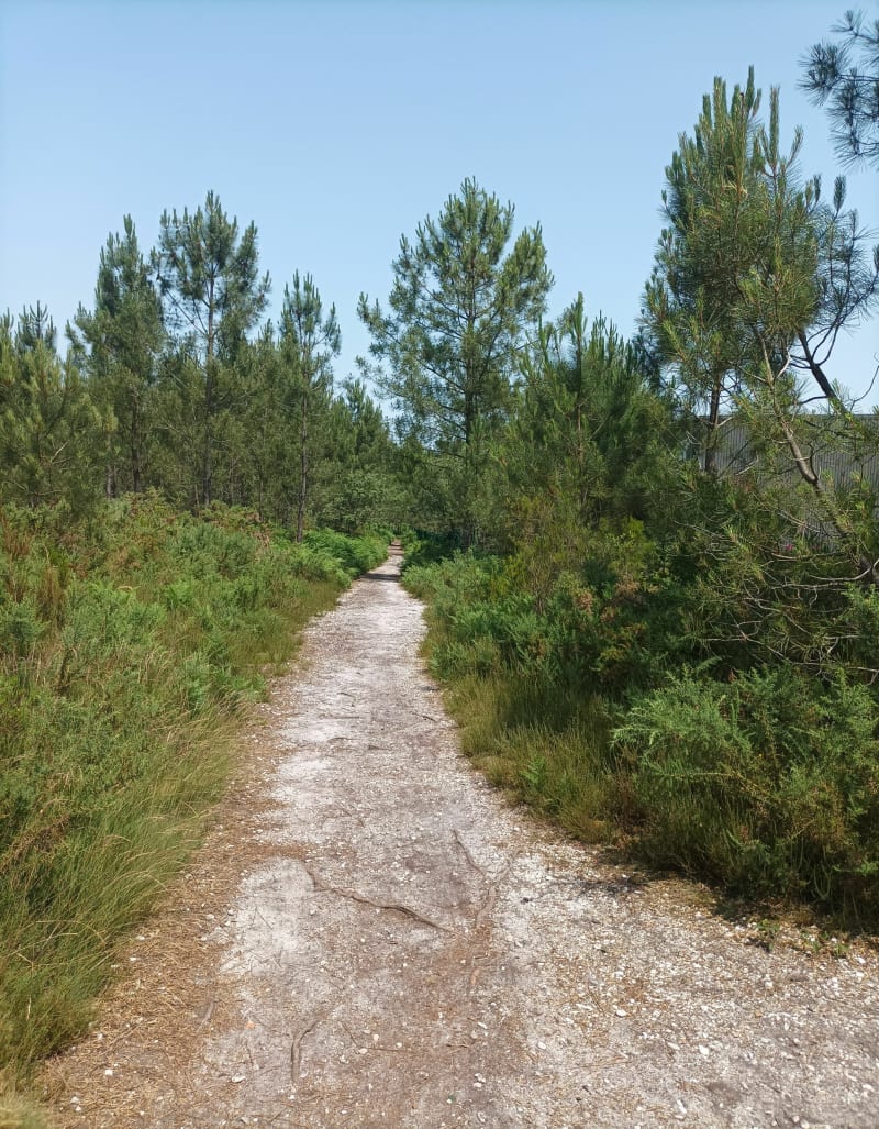 Tour en Forêt de Migelane - Martillac