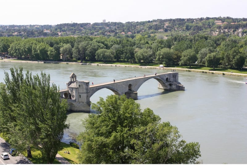 Barthelasse - Oiselet - Avignon
