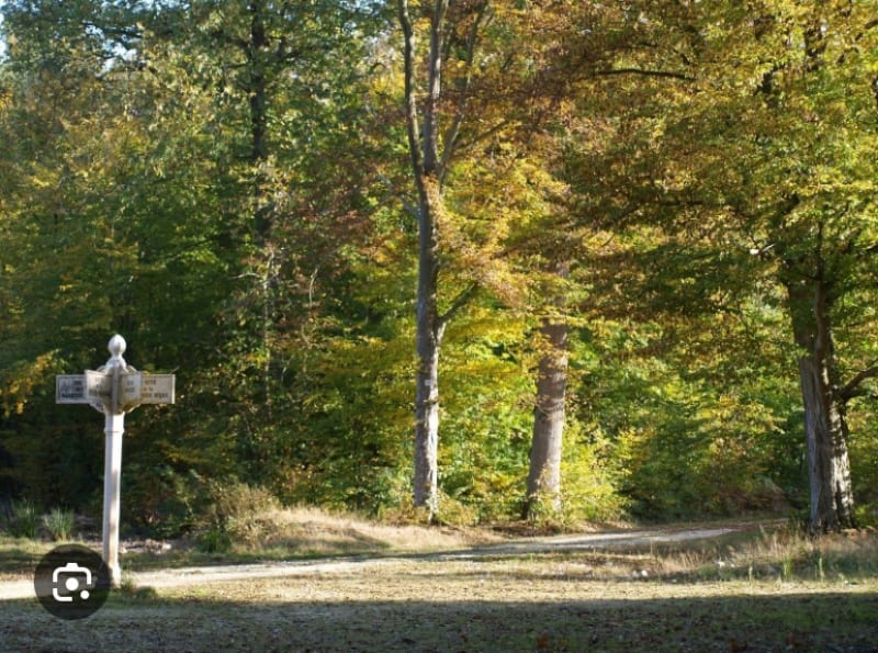 De Villeneuve le comte à Chessy - Villeneuve-le-Comte