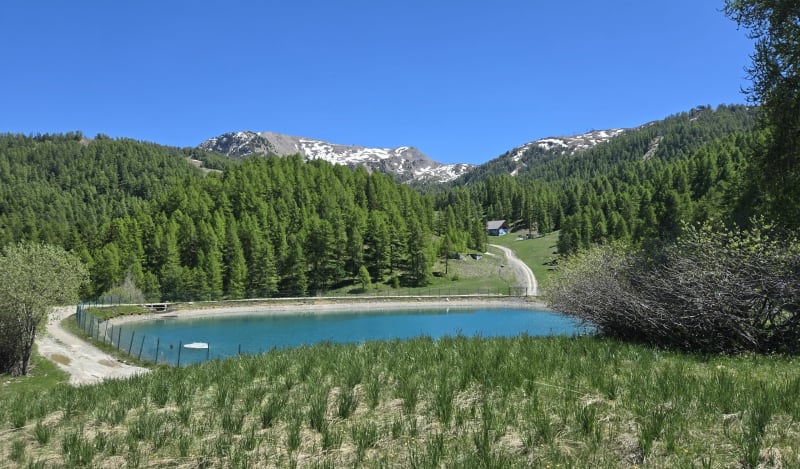 Ronde pelinche - Risoul