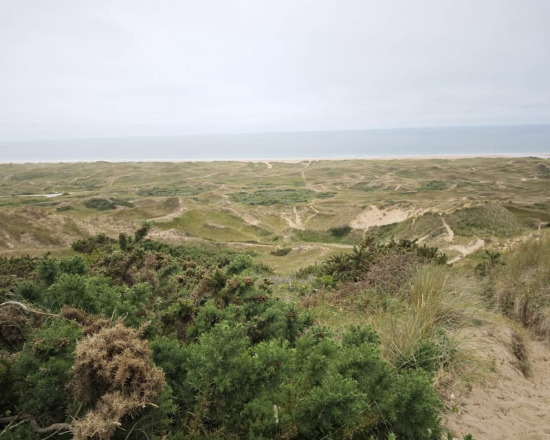 Les hauteurs des dunes de Biville - La Hague