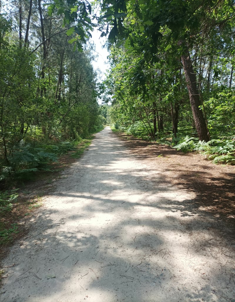 Marche depuis la Technopole Montesquieu - Martillac