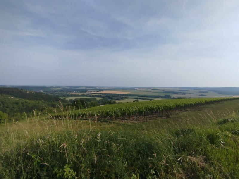 Vue sur Cravant - Escolives-Sainte-Camille